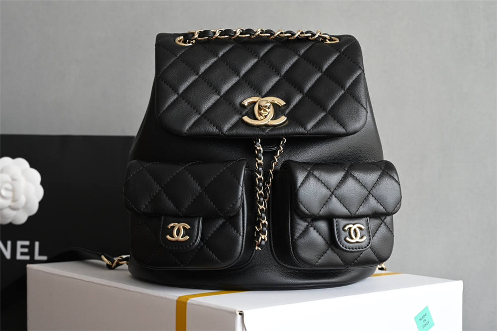 Chanel duma backpack 20.5x20x11.5cm 2025 new 